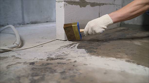SJ Waterproofing Pros Waterproofing coverage map for Cordova, AL and surrounding area